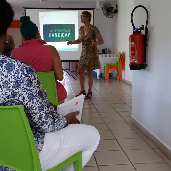 guadeloupe handicap et travail alter formation conseil outre mer (4)