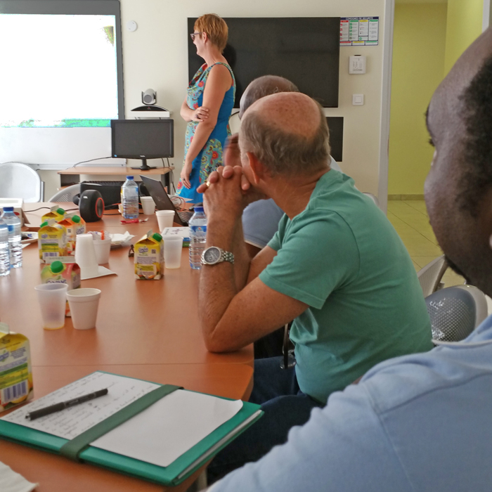 Troisième petit-déjeuner de travail organisé par l'ARS Guadeloupe avec Alter Formation Conseil représentée par sa gérante Nelly Serre. Ce matin, les agents de la délégation territoriale de Saint-Martin & Saint Barthélémy ont bénéficié d'une sensibilisation de deux heures consacrée au handicap dans l'univers professionnel. La prestation s'est déroulée dans le cadre convivial du petit-déjeuner gourmand offert par l'Agence Régionale de Santé, qui a également présenté son référent handicap nommé depuis le janvier !